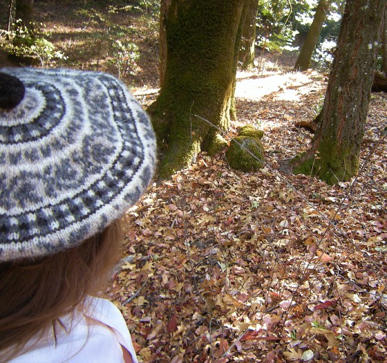 jenjoycedesign©tam in woods