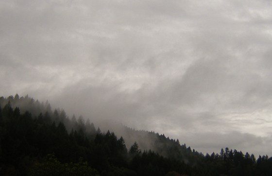 March's entrance