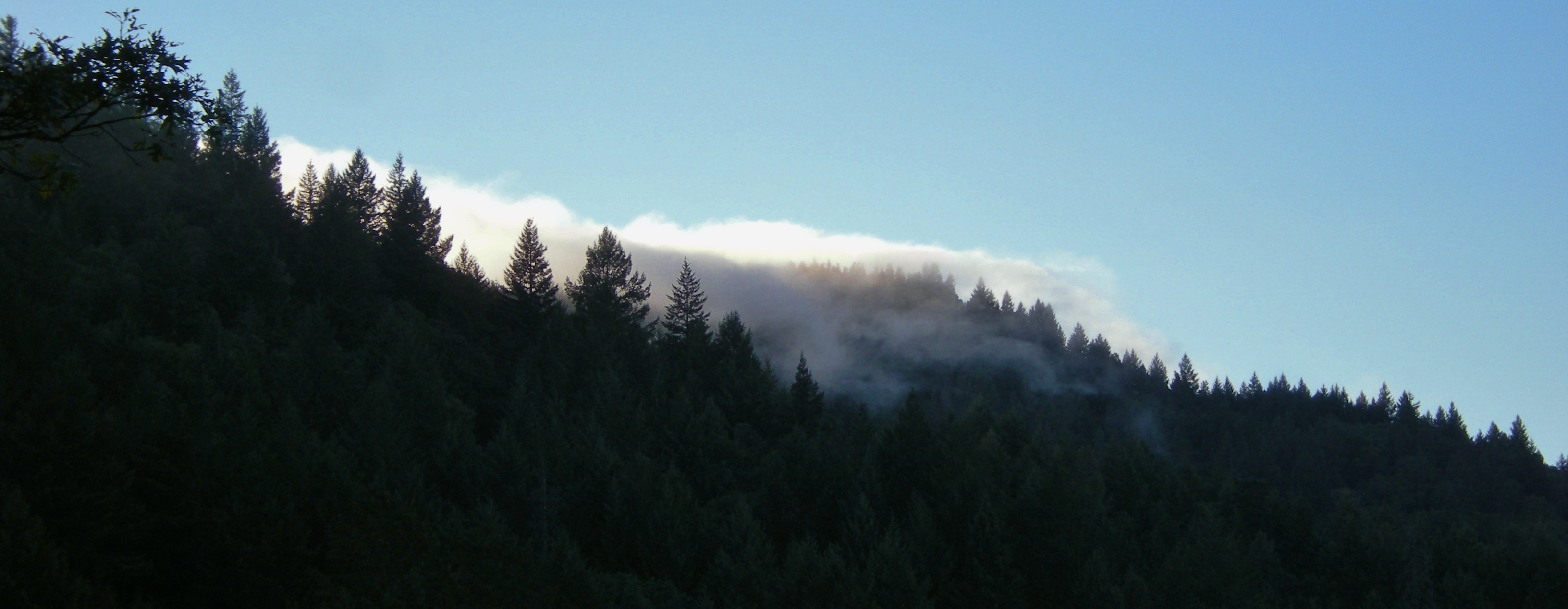 jenjoycedesign©fog-over-ridge | JjD