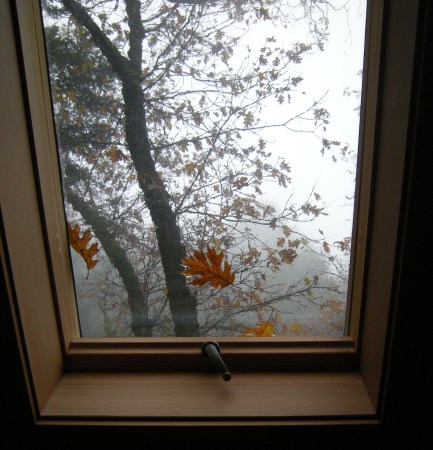 sky window