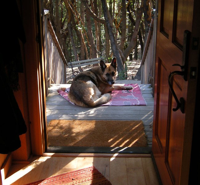 jenjoycedesign©Emma on the porch