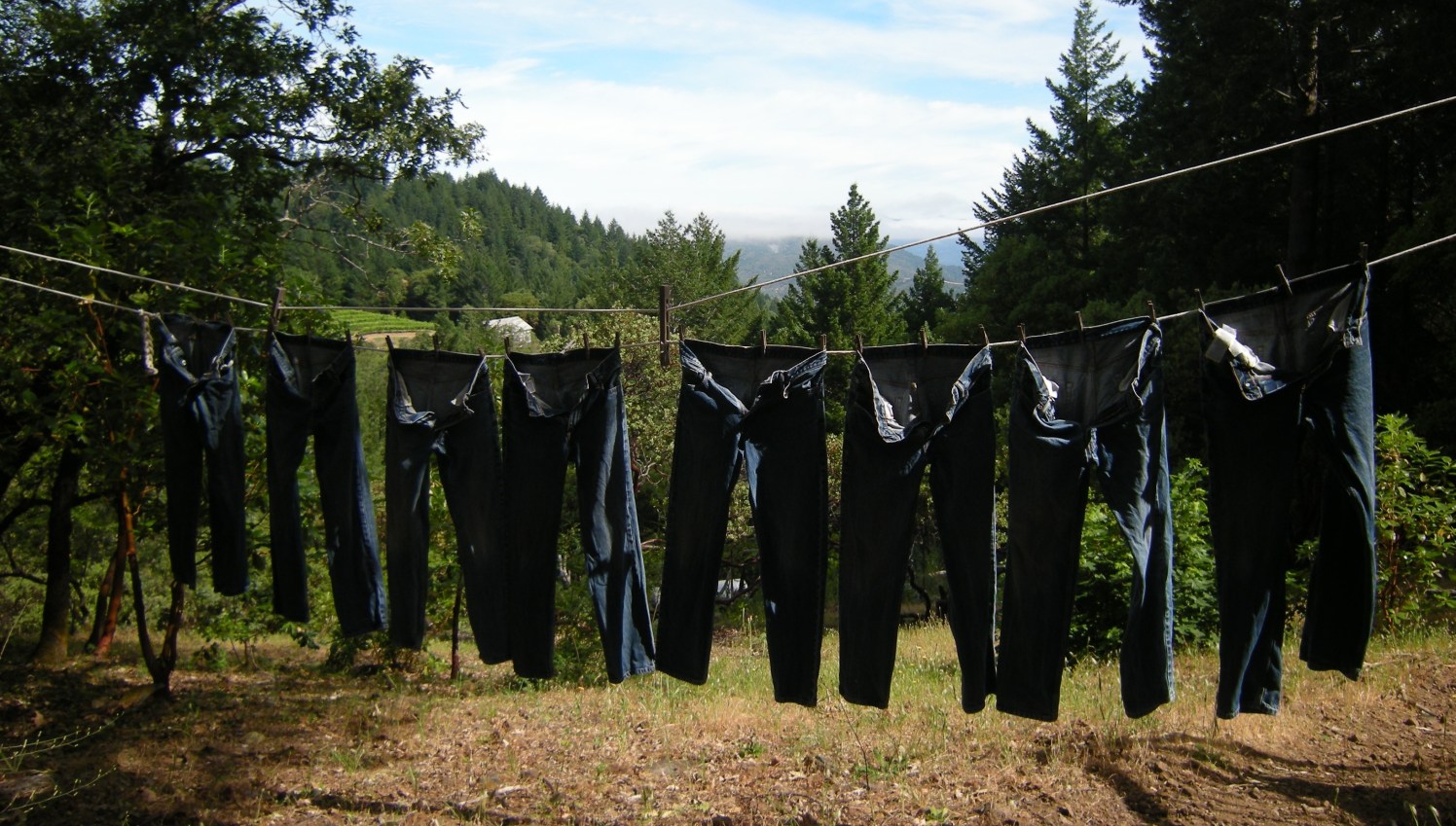 jenjoycedesign©laundry