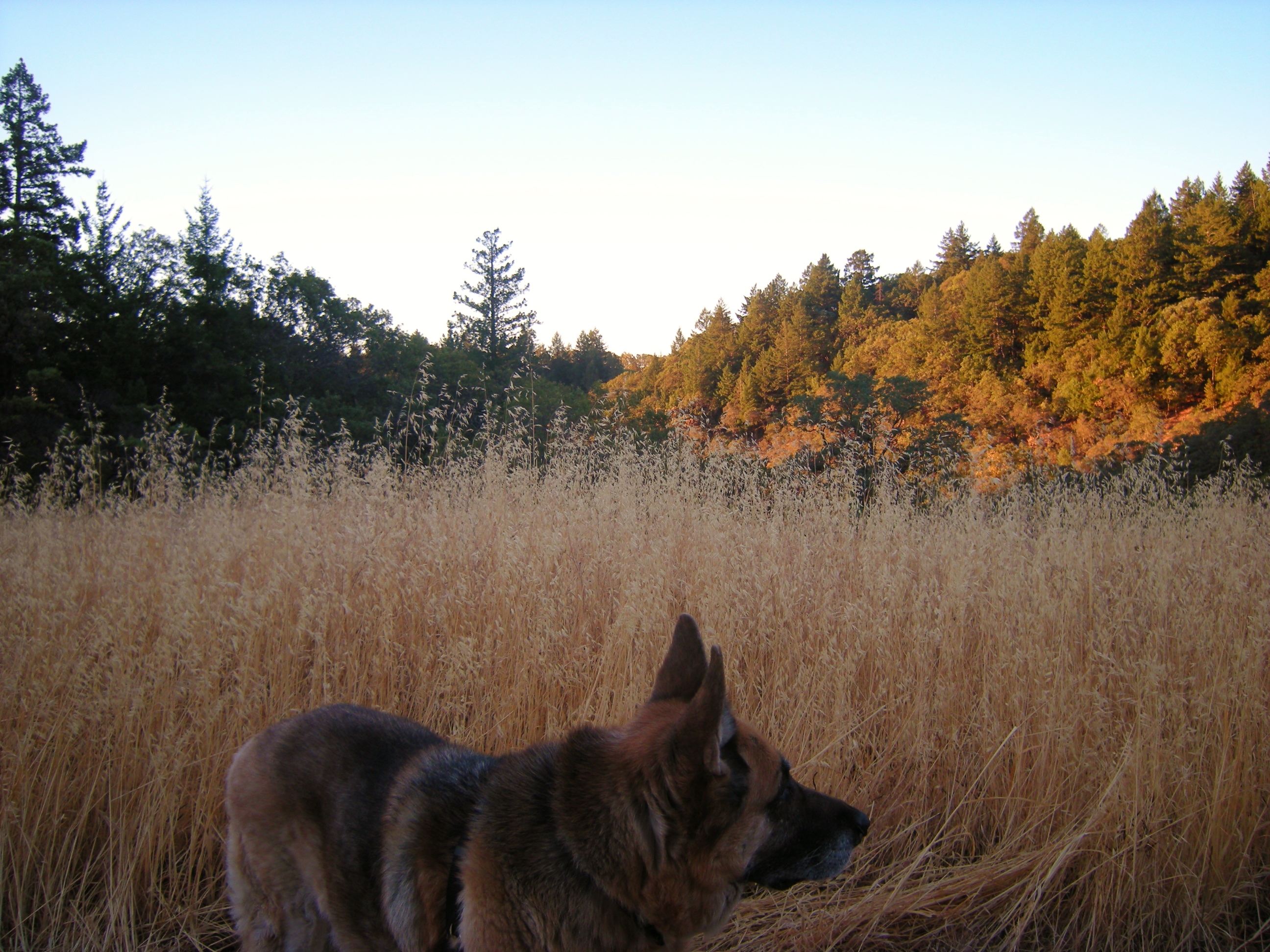 jenjoycedesign-autumn-equinox-1