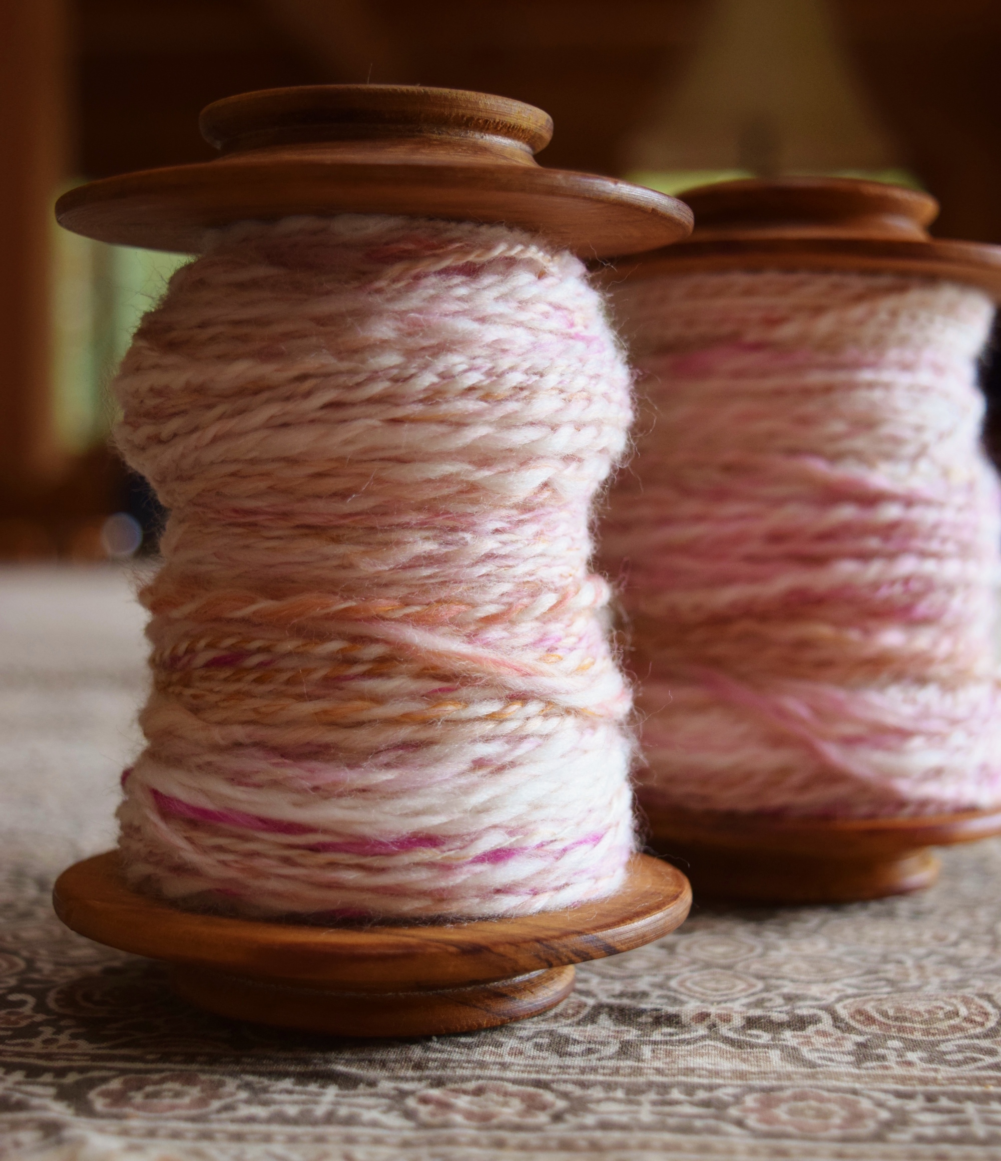 jenjoycedesign© seashells plied